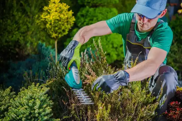 landscaping services Worthington
